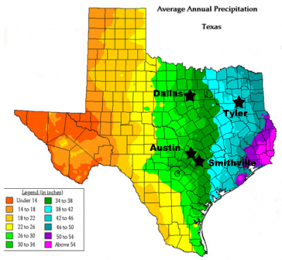 Rain Map of Texas
